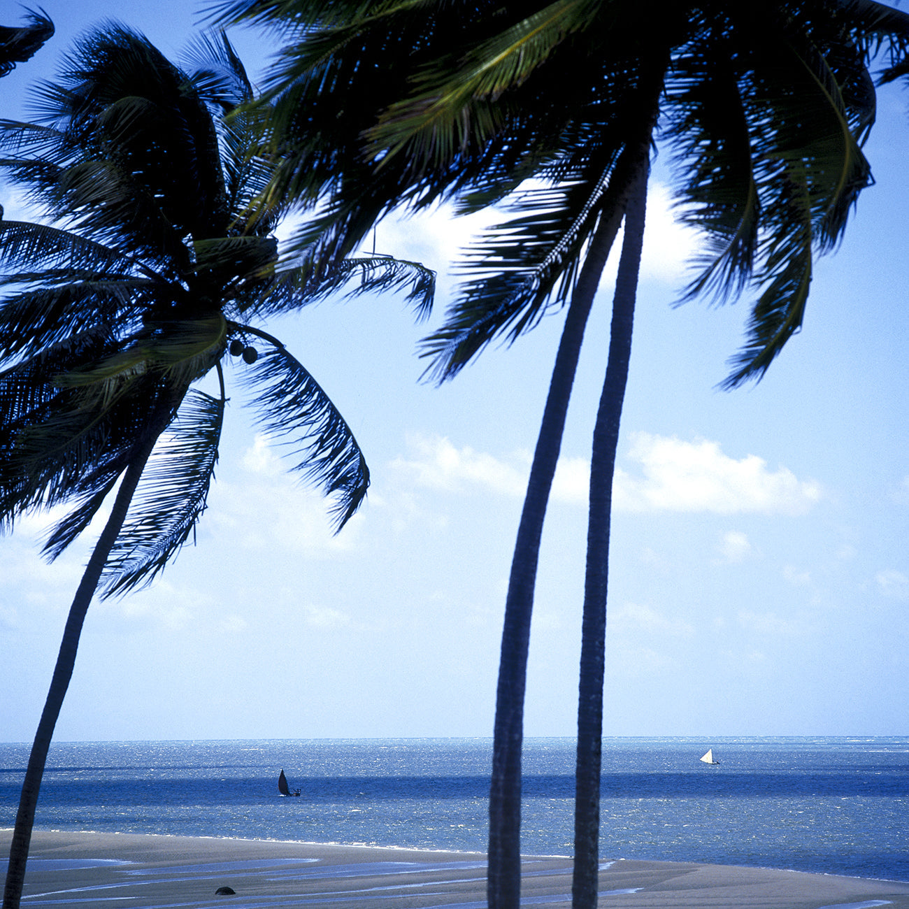 Maceió