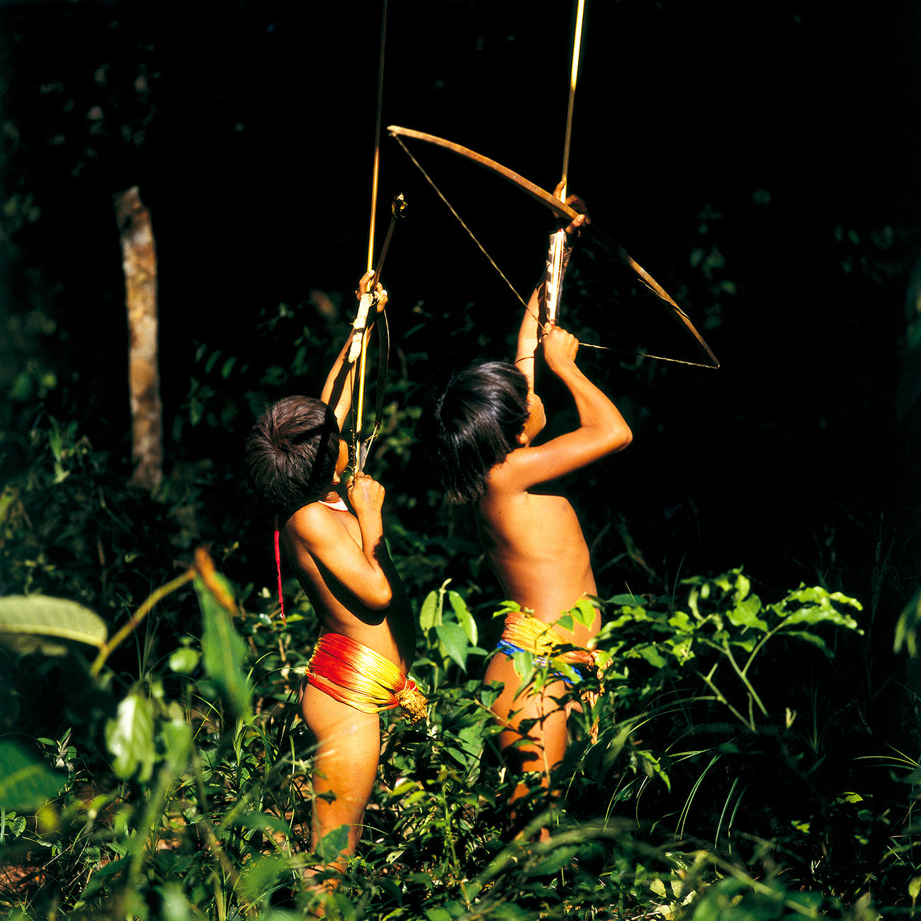 Xingú 1