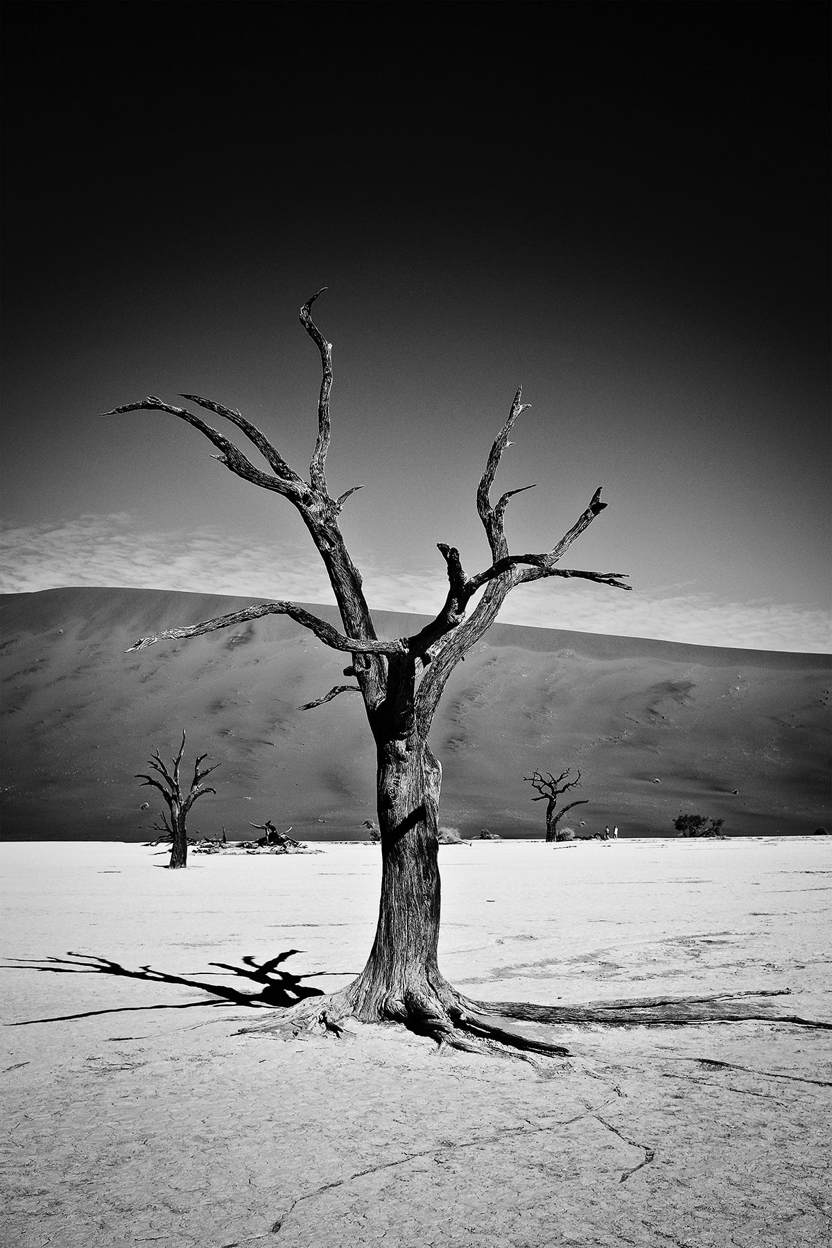 Deadvlei, Namibia 1