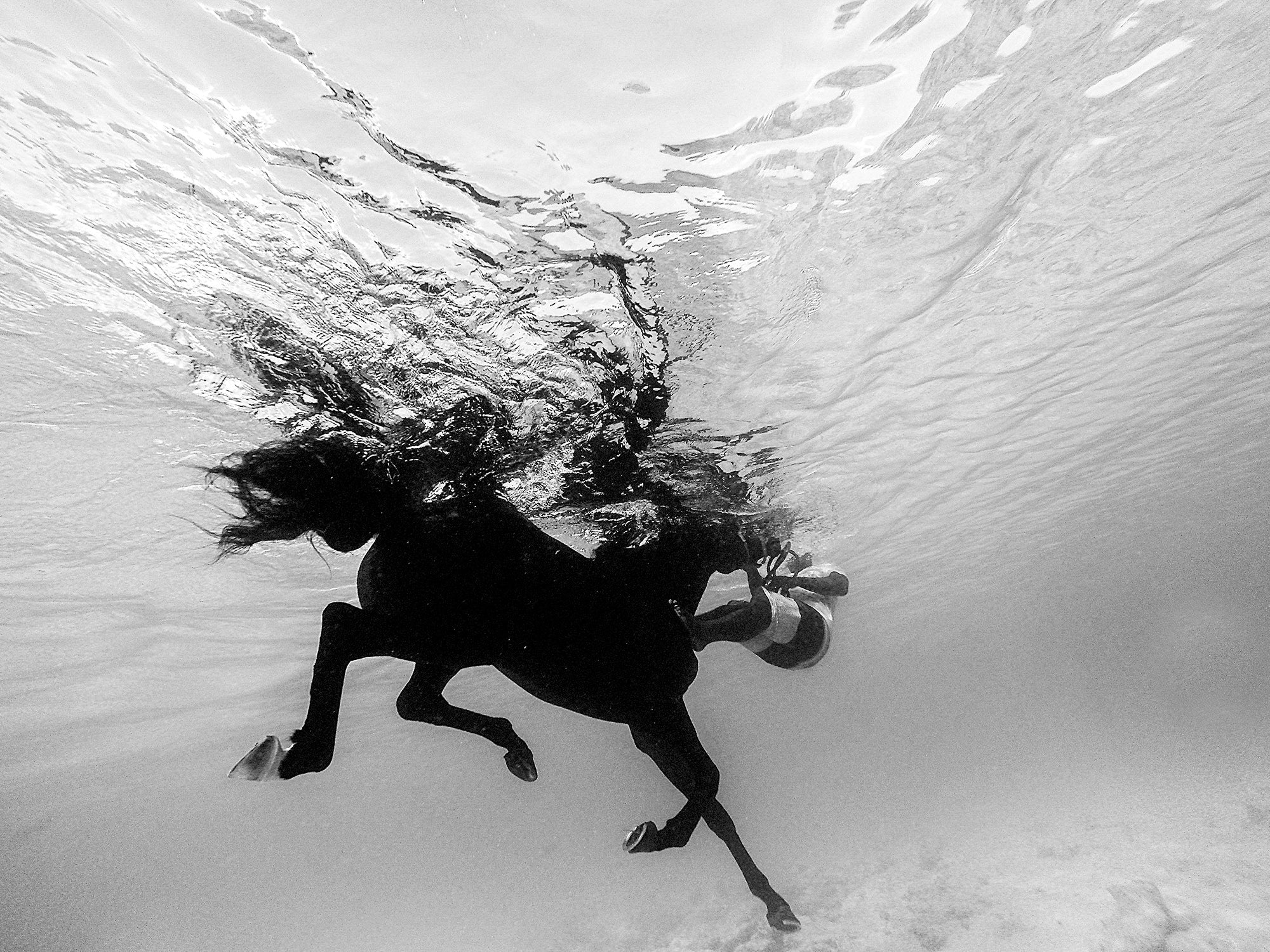 Barbados IV