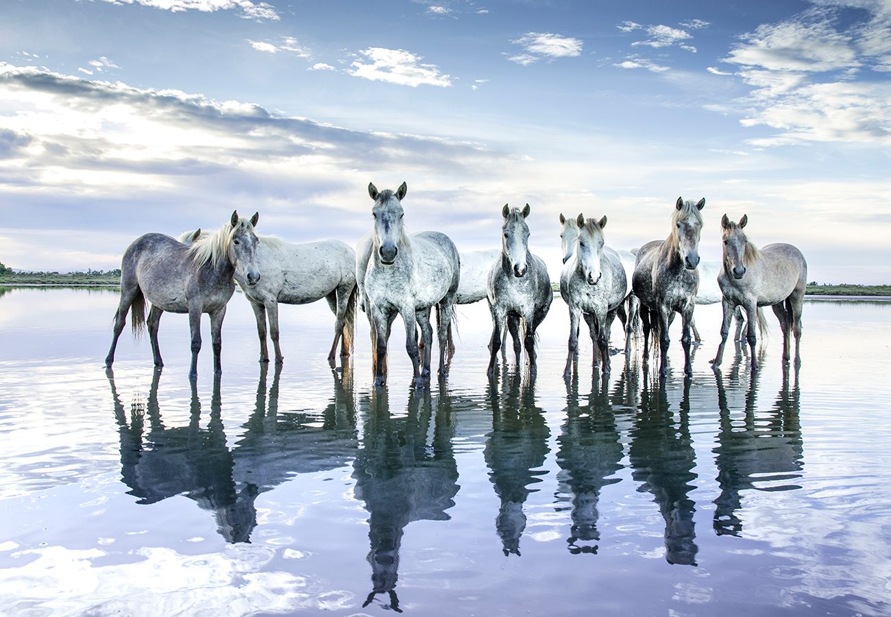 Blaue Reflexion