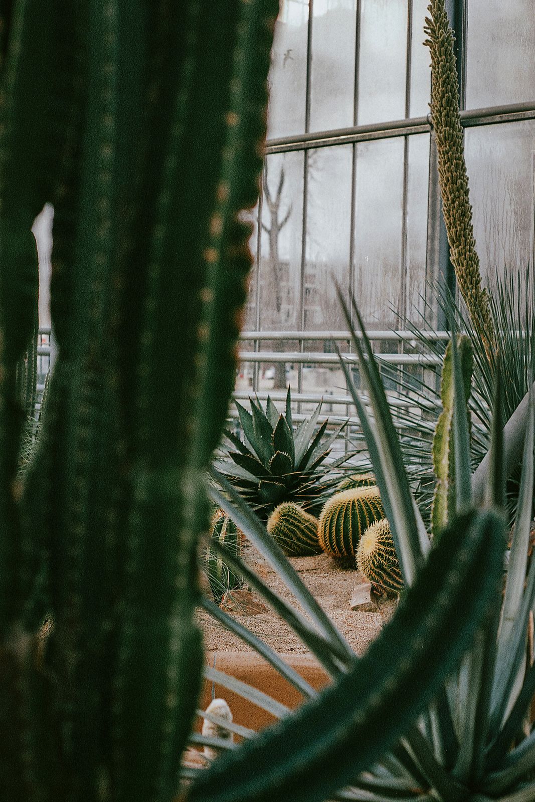 Green Garden II
