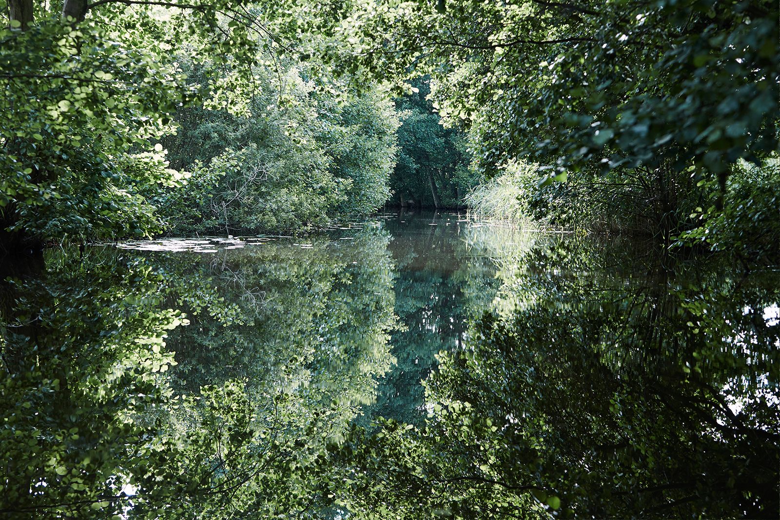 Havel river "The Amazon of the north" II