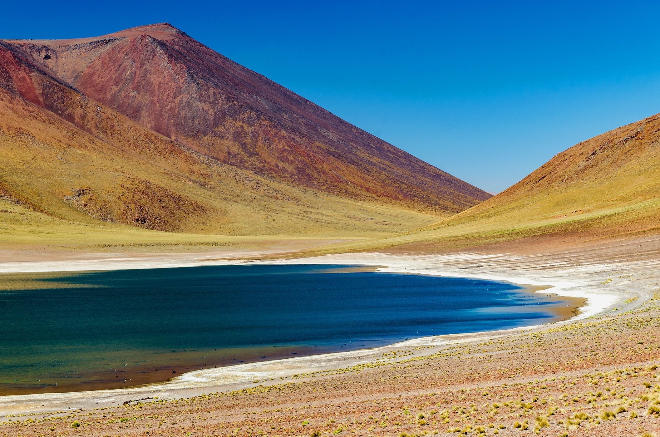 Laguna Miñiques