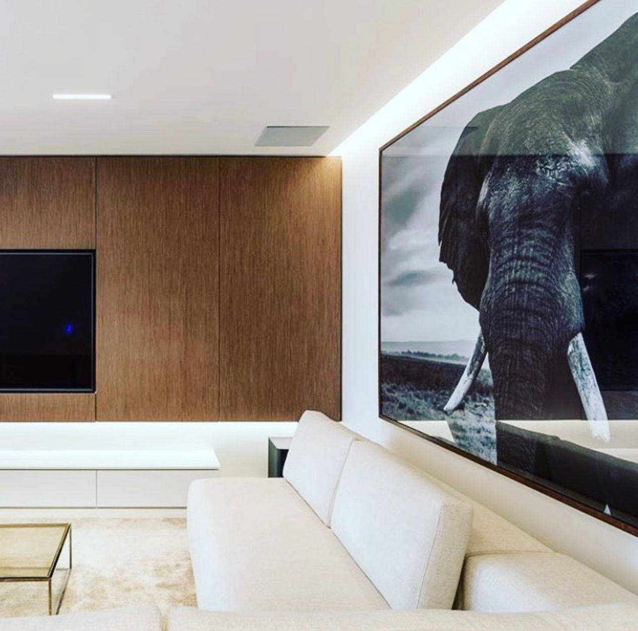 Africa - Elephants
