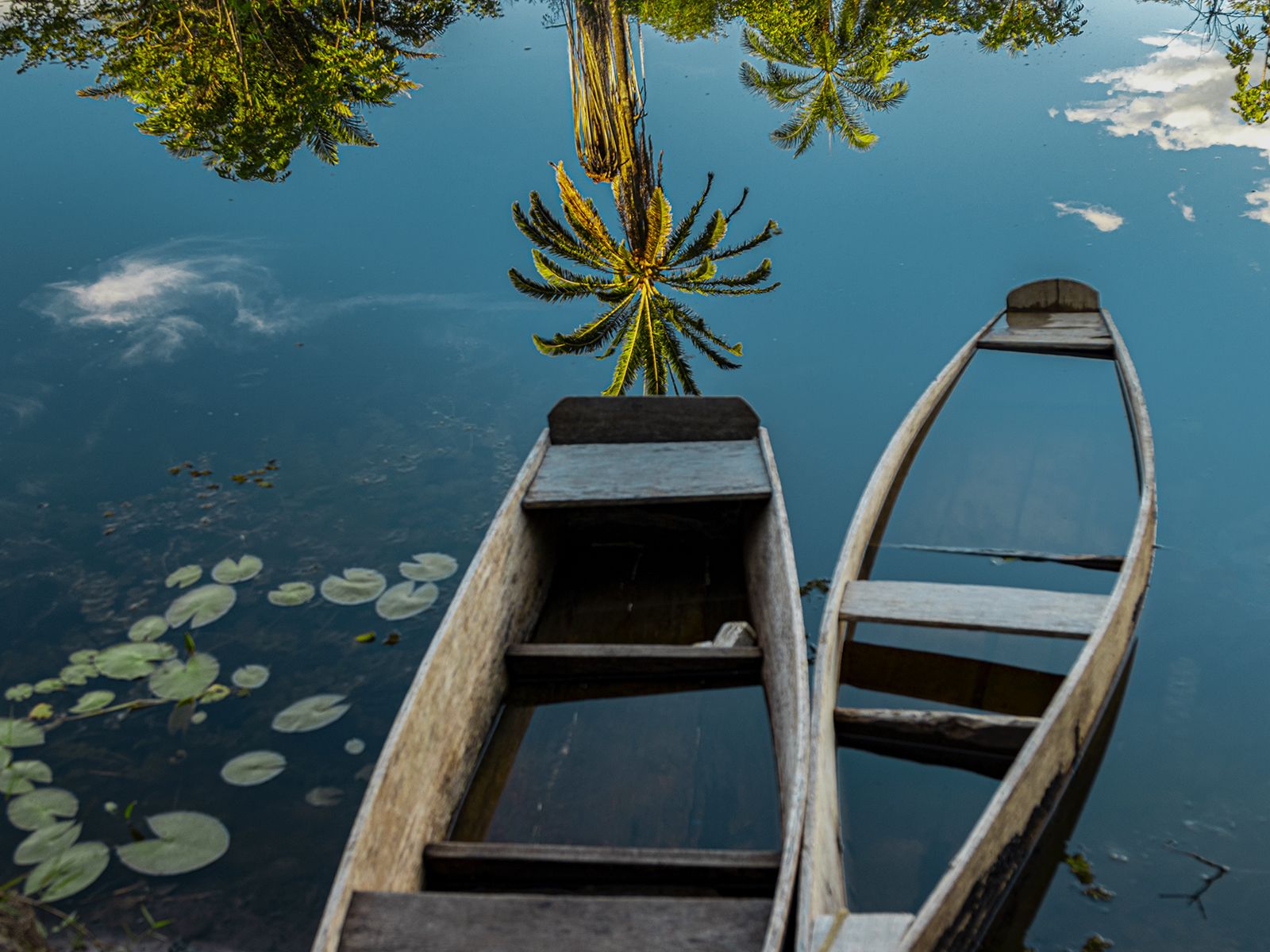 Reflexos dos Marimbus