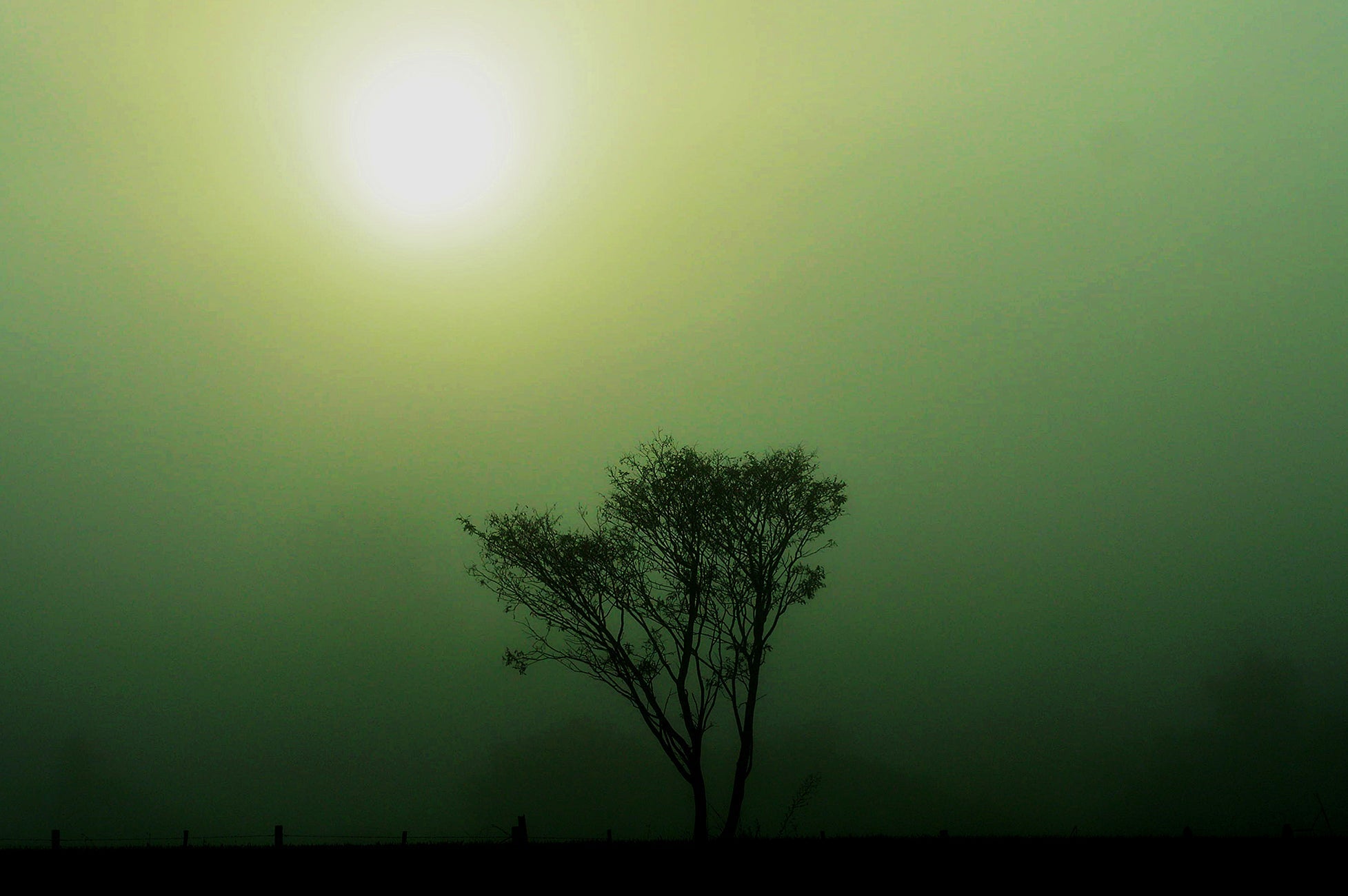 O nascimento da luz