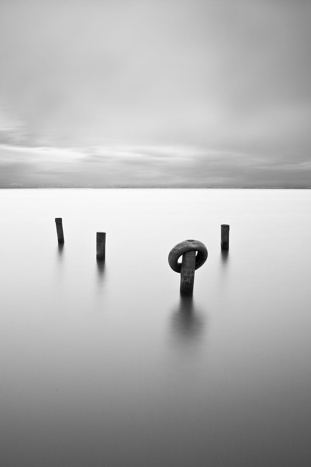 Lost Tire