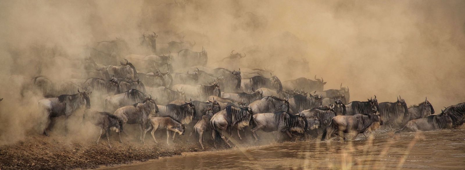 Africa