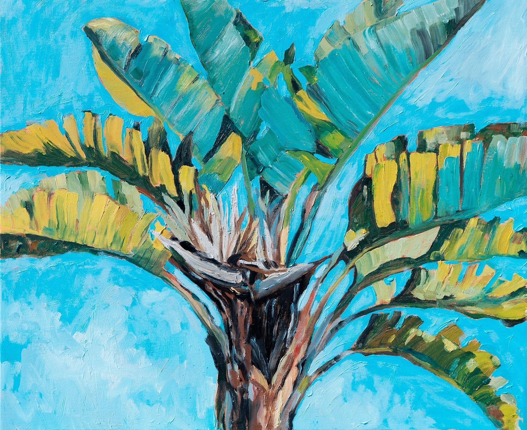 Palme