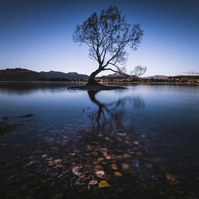 Paysage Idílica - Arbre Wanaka