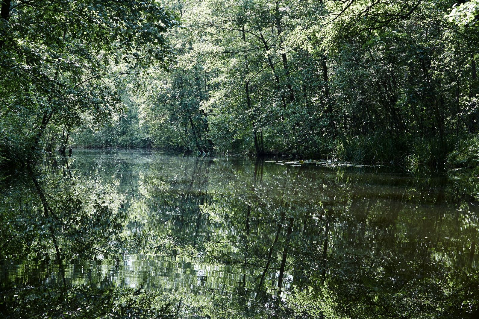 Havel river "The Amazon of the north" I