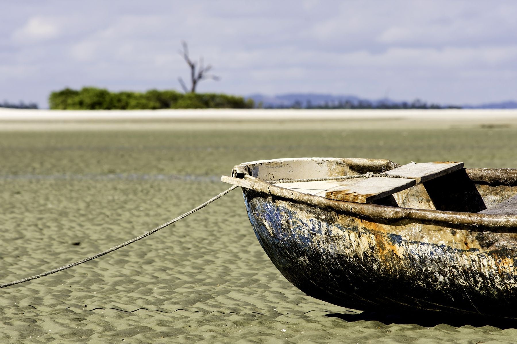 No deserto da maré