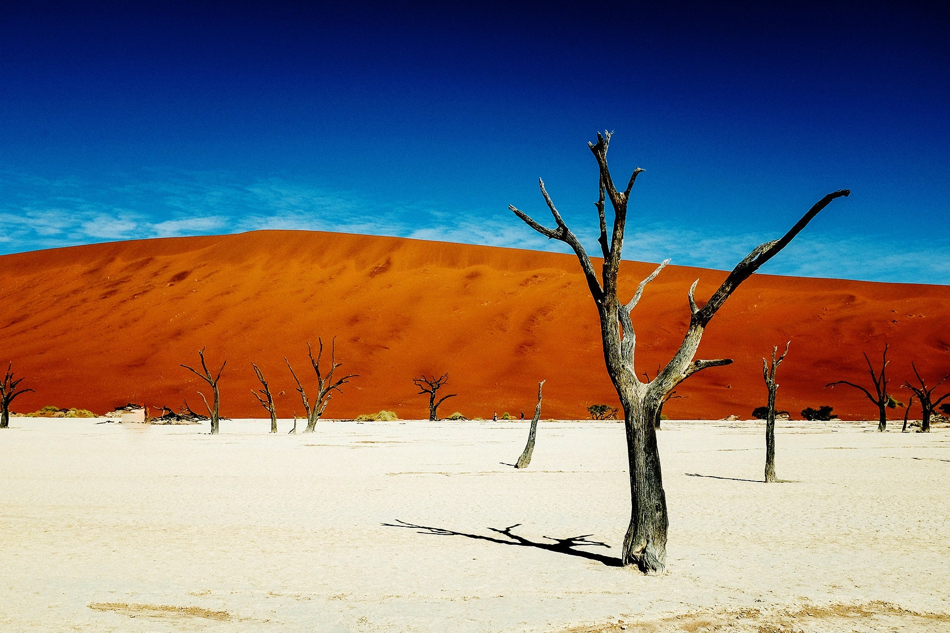 Deadvlei, Namibia 2