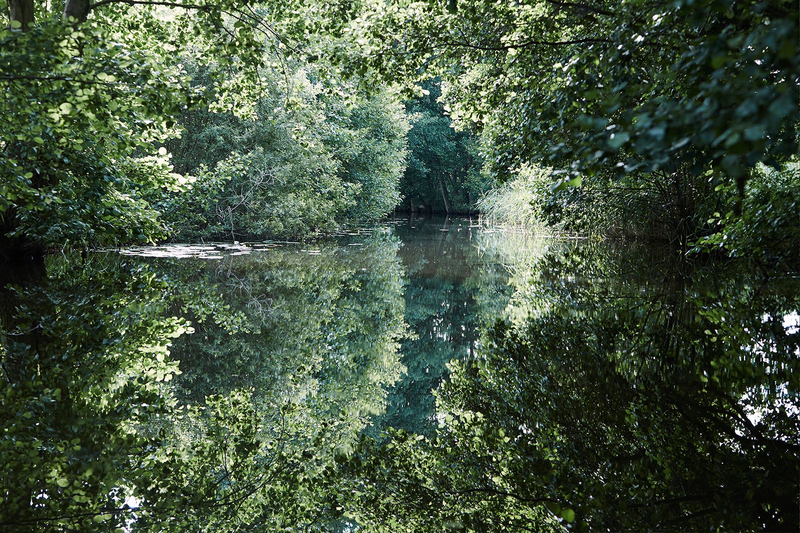 Río Havel "El Amazonas del norte" II 