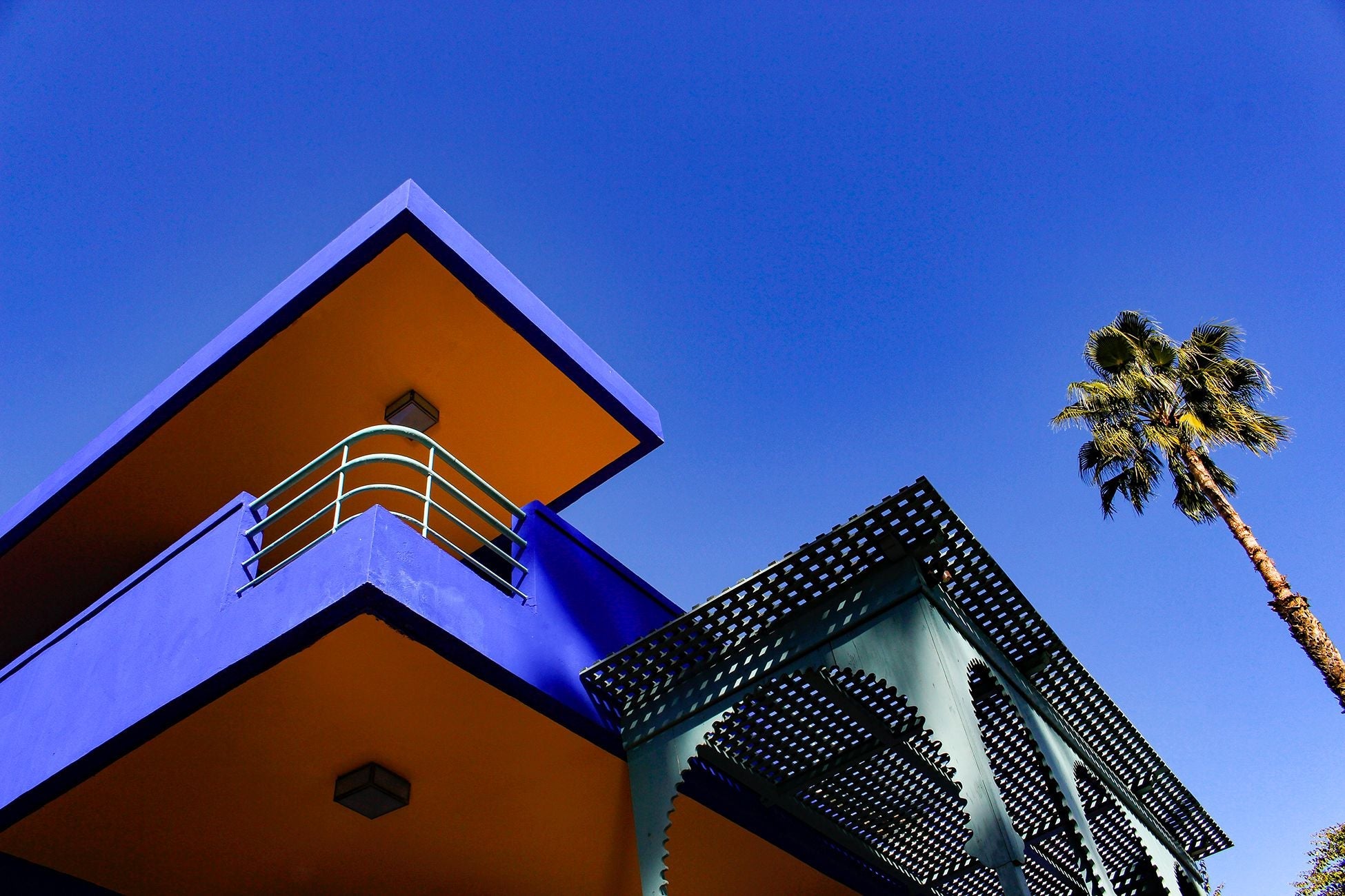 Jardim majorelle - II