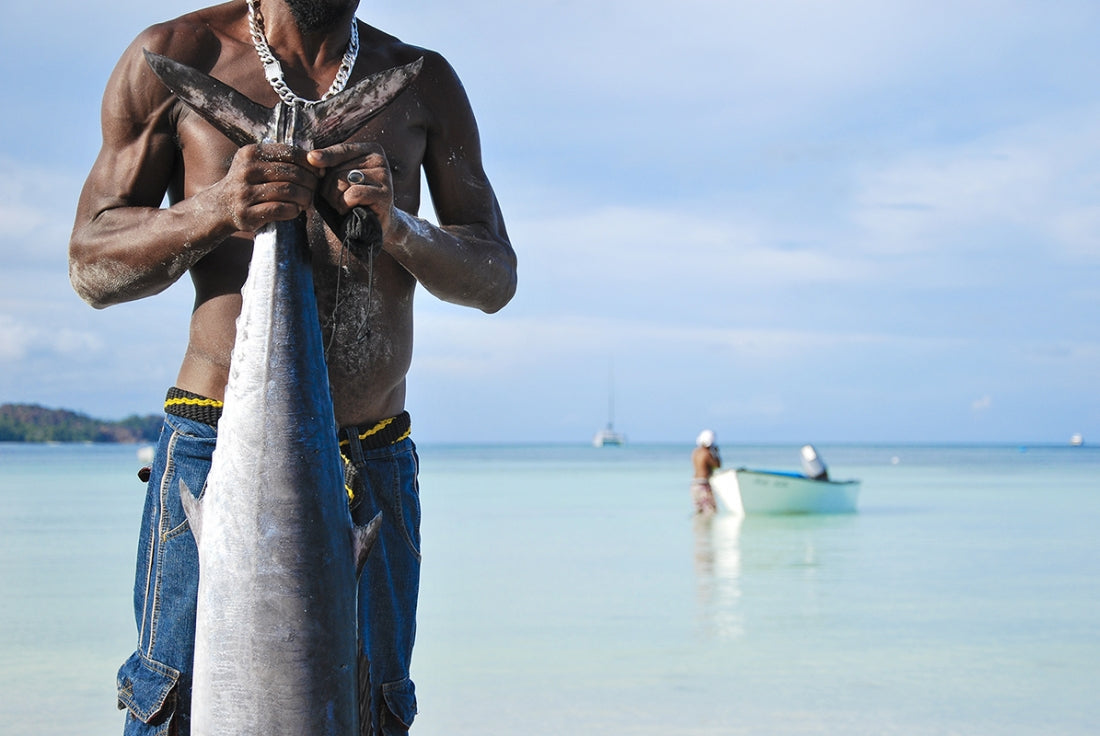 Pêcheur Digois - Seychelles