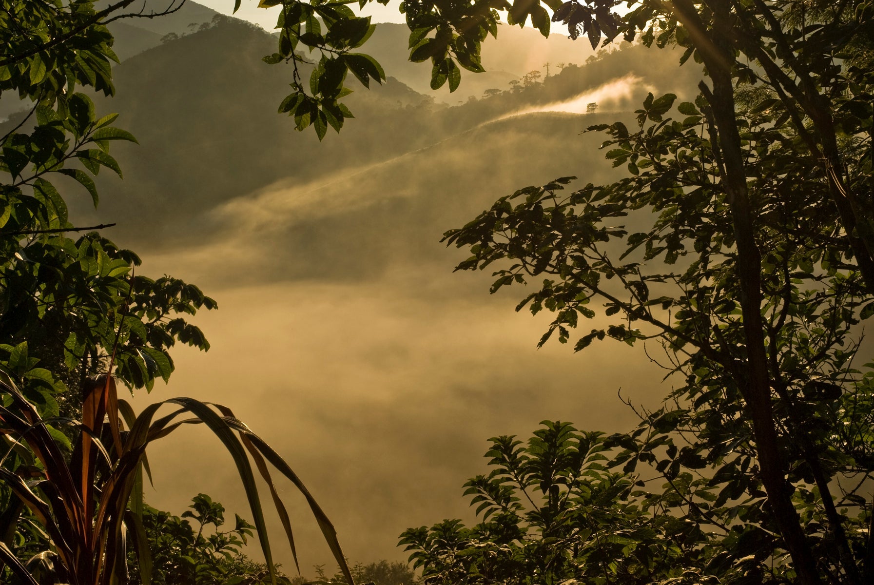 Amanhecer